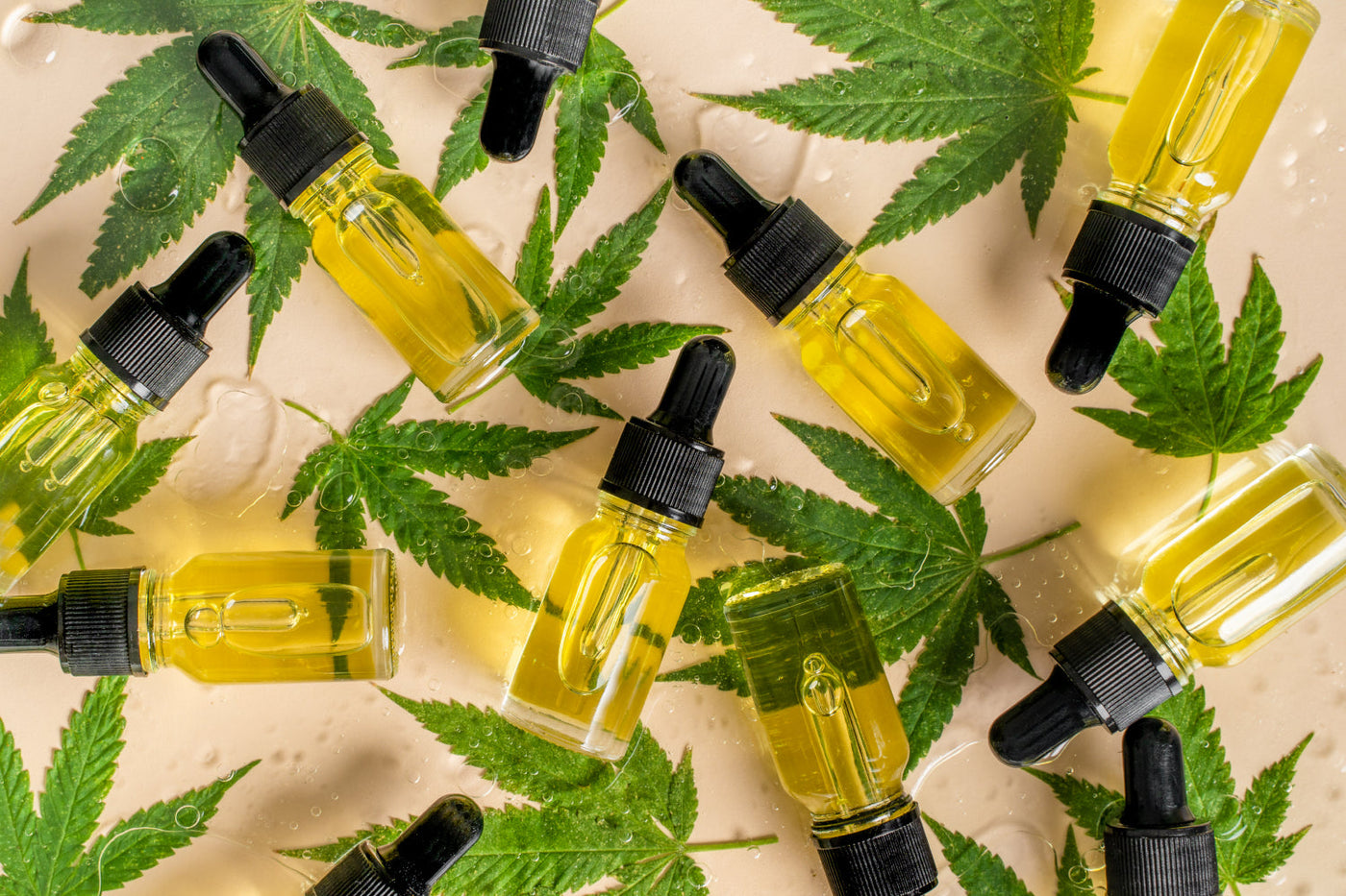 Does CBD get you high?