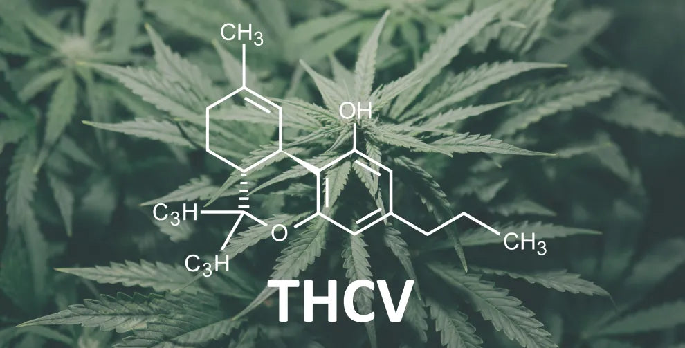 What Is THCV Good For? A Guide to Effects