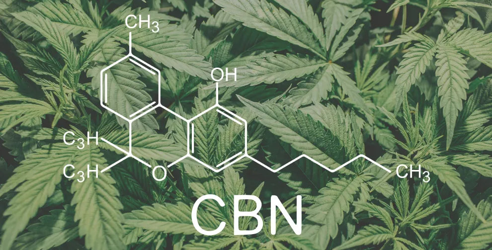 What is CBN in gummies?