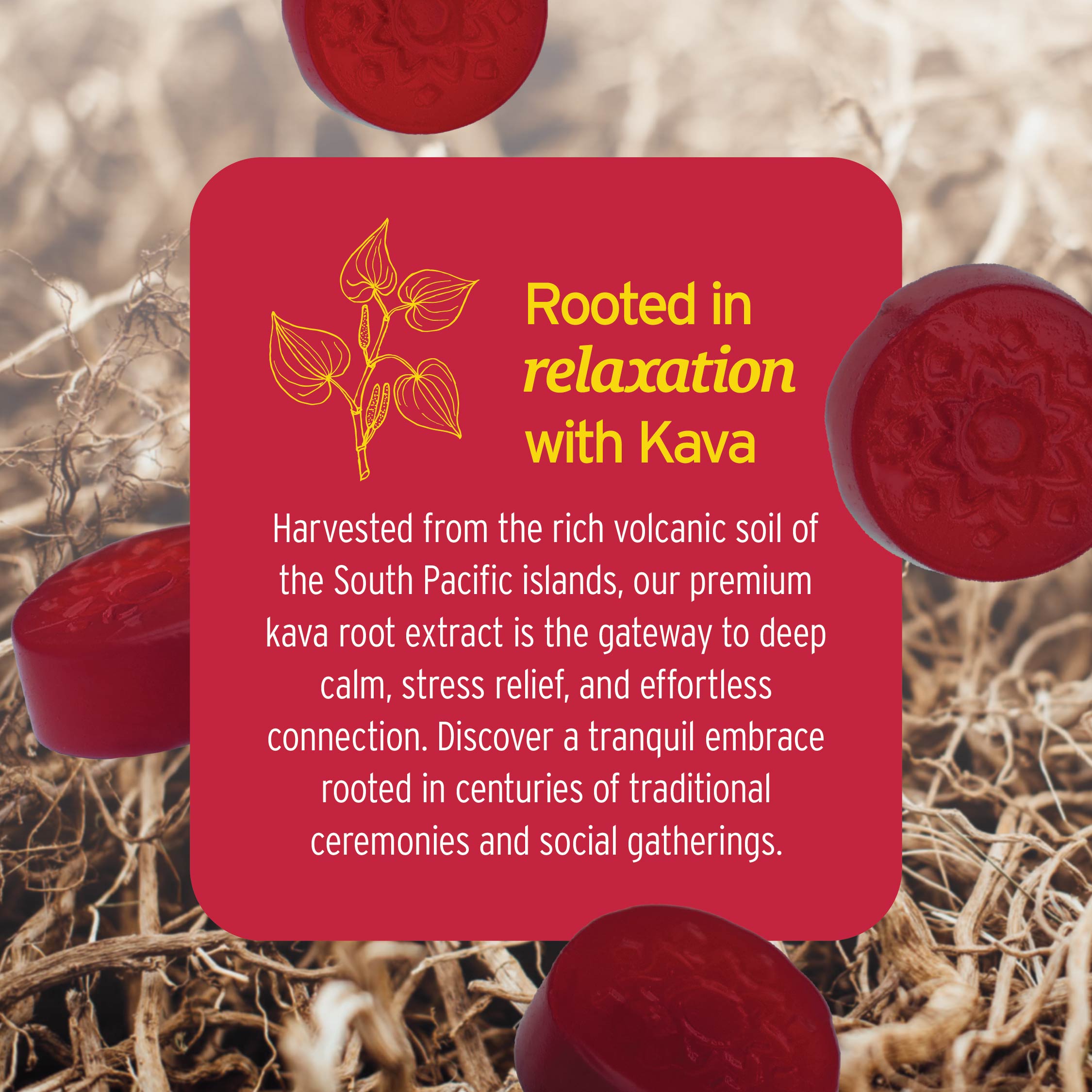Red lozenges and roots frame text about Sunmed CBD Kava Gummies, highlighting the calming and relaxing effects of kava root extract and its soothing kavalactones.