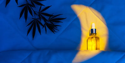 CBD and Melatonin: A Detailed Look