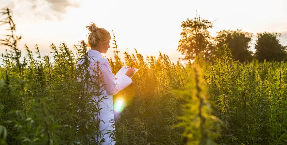 8 Potential Benefits of CBD for Women, Per Science