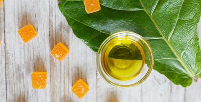 CBD oil vs. gummies: Which is the best for you?