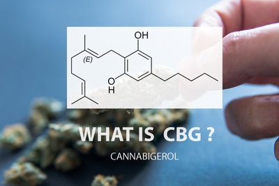 What is CBG? What are its uses & benefits?