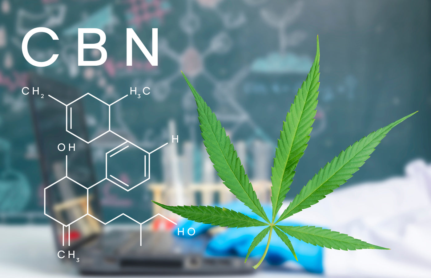 CBN vs. CBD: Differences, benefits, uses, & more