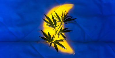 How Much CBN Should I Take?