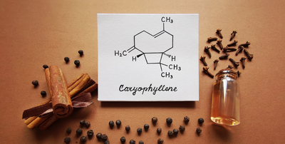 Caryophyllene: What It Is, Properties, and More