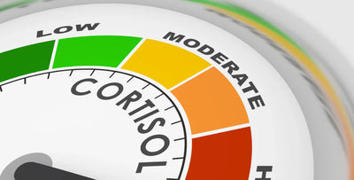 Cortisol Detox: 6 Key Components To Reduce Stress