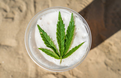 What is THCA?