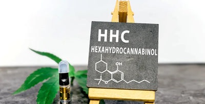 What does HHC do? An overview of its effects