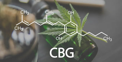 How does CBG make you feel? 4 effects