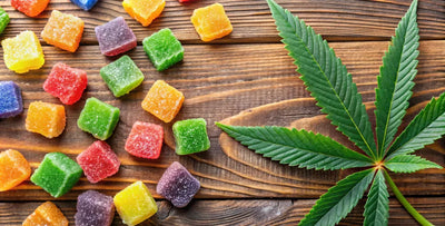 How much THC Is legal in gummies? Guide by state