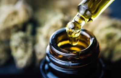 Does CBD counteract THC's effects?
