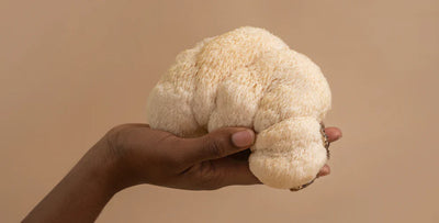 When Is the Best Time To Take Lion's Mane?