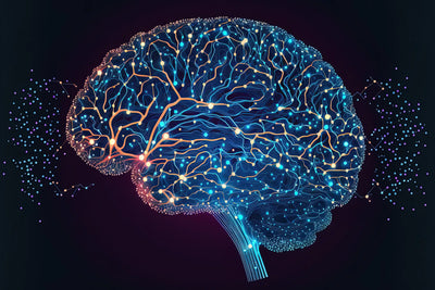 Neuroplasticity examples in everyday life