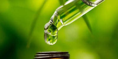 Tincture vs. extract: What's the difference?