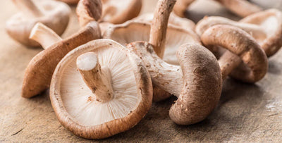 What Are Shiitake Mushrooms? A Complete Guide