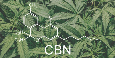What is CBN in gummies?