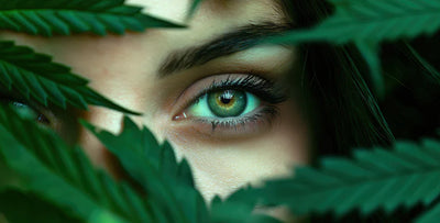 CBD: 5 Anti Aging Benefits