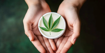 How to increase CBD absorption: 4 ways