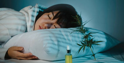 When to take CBD oil for sleep