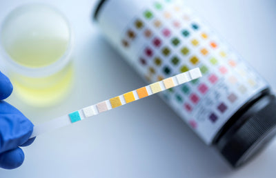 Does CBD show up on a drug test?