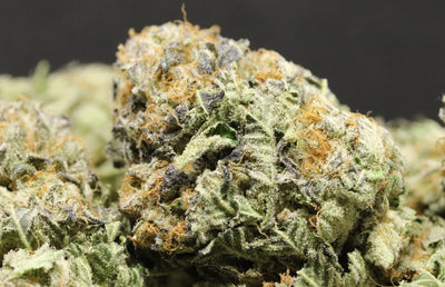Is pineapple express indica or sativa? Strain information