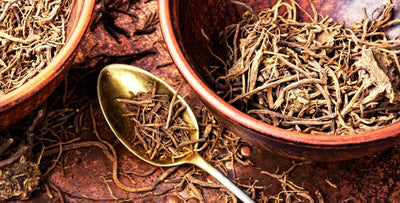 10 health benefits of valerian root