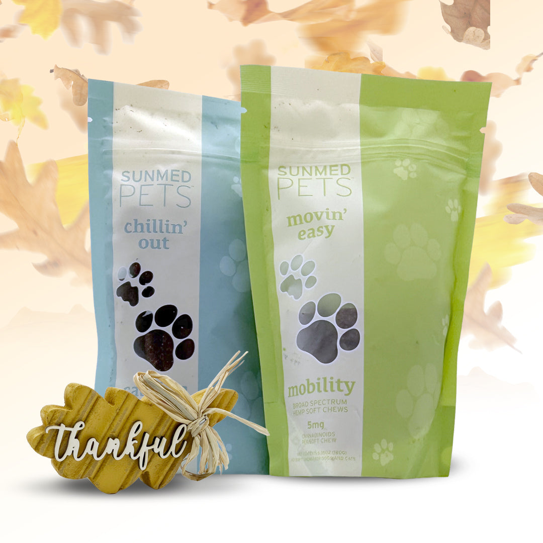 Two Sunmed CBD Chillin’ Out + Movin’ Easy Pet Chew Bundle bags with paw prints and a small “thankful” pumpkin, surrounded by autumn leaves in the background—perfect for sharing CBD pet chews that support joint health and help ease pet anxiety.