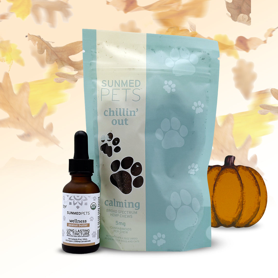 Sunmed CBD Chillin’ Out Pet Chews + Pet Tincture Bundle, featuring USDA-organic formulas, is shown with autumn leaves and a pumpkin in the background—perfect for seamlessly incorporating calming botanicals into your pet’s daily routine.