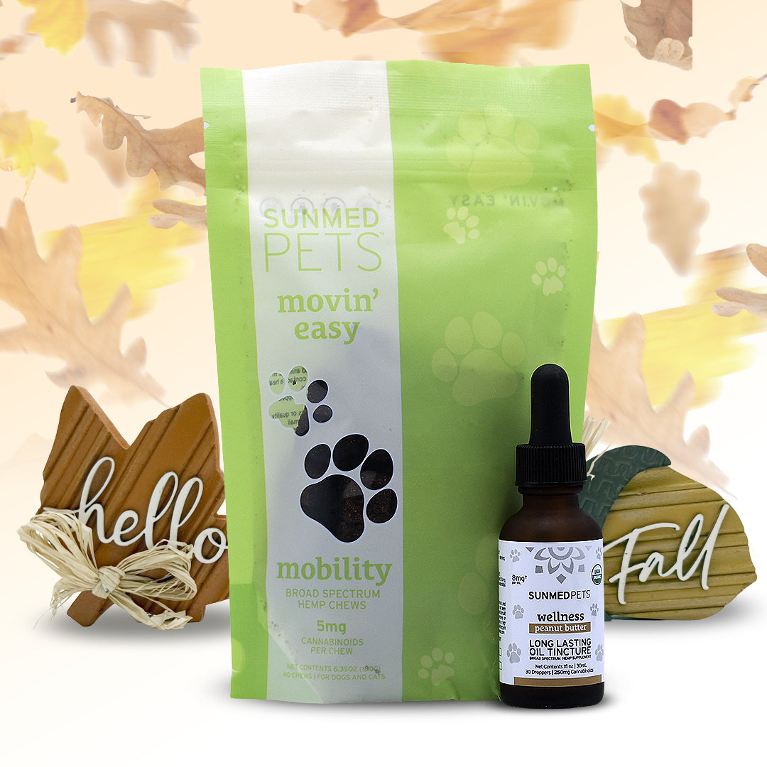 Sunmed CBD’s Movin’ Easy Pet Chews + Pet Tincture Bundle displayed in a green pet treat bag and dropper bottle, set against fall-themed wooden decorations, featuring CBD-infused chews and a USDA-organic tincture crafted to support your pet’s joint health.