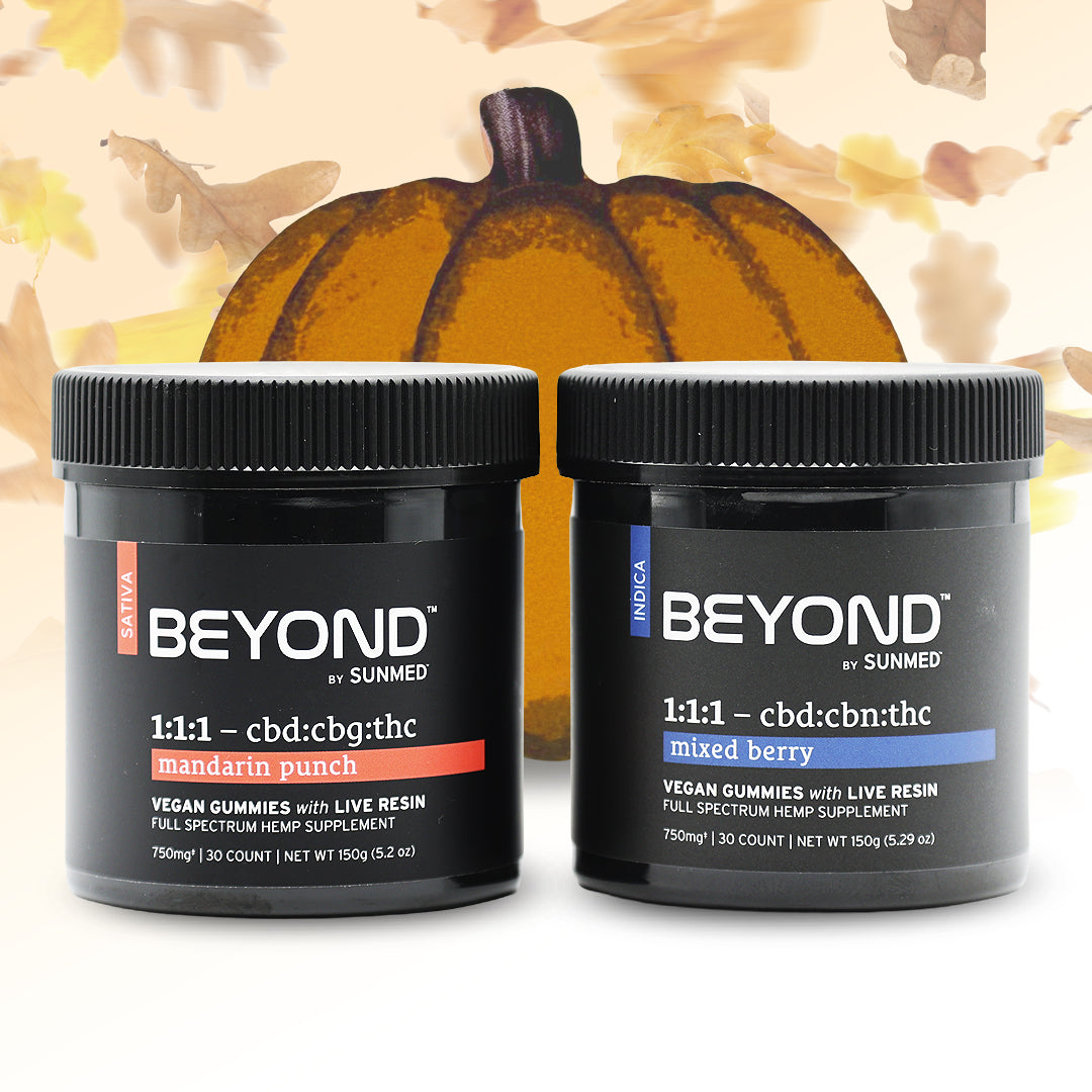 The BEYOND Sativa + Indica Gummies Bundle from Sunmed CBD sits in front of a pumpkin, surrounded by autumn leaves.