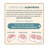 Text and illustrations explain serving sizes for Sunmed CBD's Above + Beyond Live Resin CBD Gummies—half, single, and double—with guidelines for the best experience.