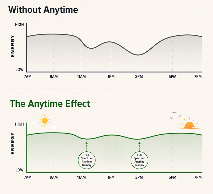 Two line graphs compare daily energy levels with and without Sunmed CBD’s Full Spectrum Anytime CBD Gummies from 7AM to 7PM, highlighting a noticeable difference in sustained vitality for those consuming the product.
