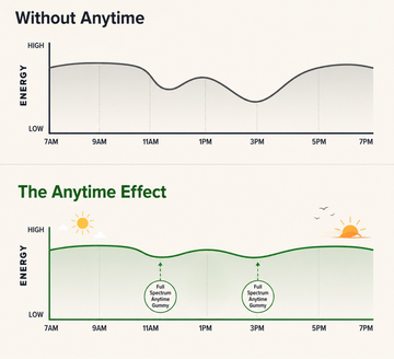 Two line graphs compare daily energy levels with and without Sunmed CBD’s Full Spectrum Anytime CBD Gummies from 7AM to 7PM, highlighting a noticeable difference in sustained vitality for those consuming the product.