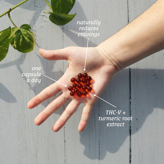 A hand holding Sunmed CBD's Full Spectrum Trim Weight Loss Capsules labeled 