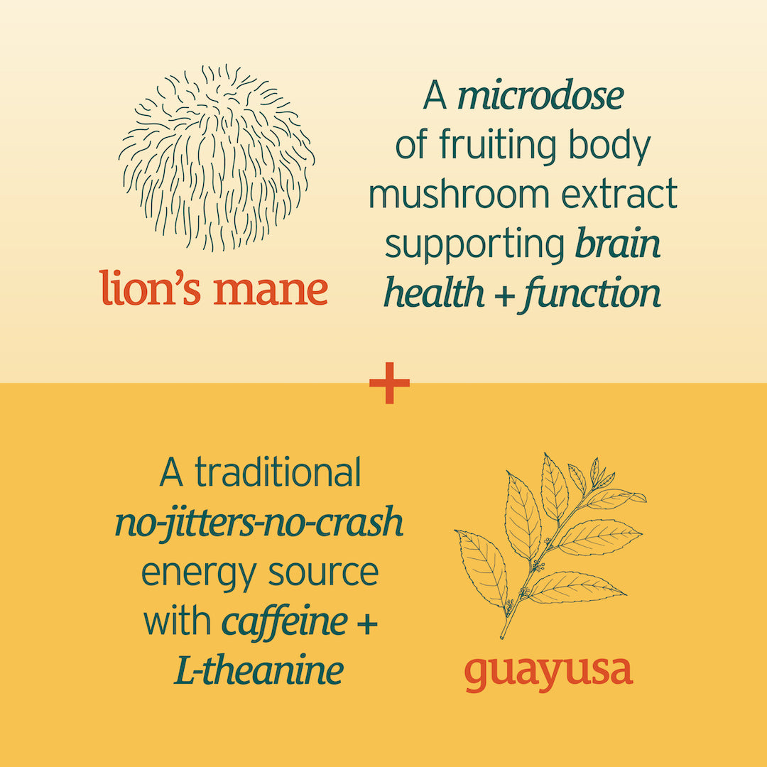 The Neuro Seltzer by Sunmed CBD offers great benefits, including supporting brain health and function with lion's mane mushroom, and providing energy without jitters or crashes thanks to guayusa.