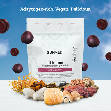 A package of Sunmed CBD All-in-One Mushroom Gummies, surrounded by adaptogenic mushrooms and floating raspberry spheres, to support your immune function.