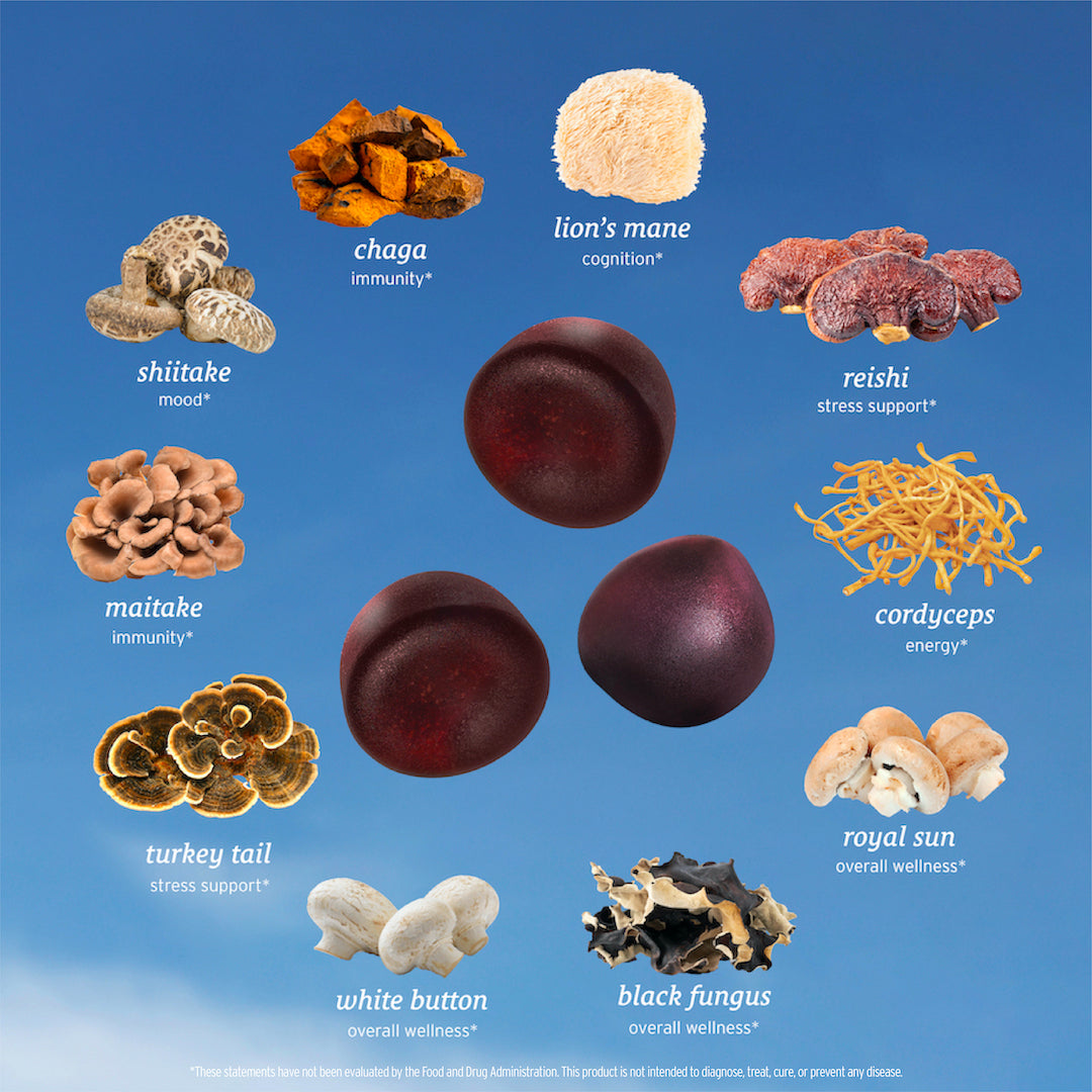 Mushroom gummies