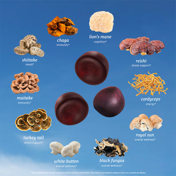 A selection of Sunmed CBD All-in-One Mushroom Gummies and supplement gummies, known for their health benefits and enhanced immune function, are displayed against a blue sky background.