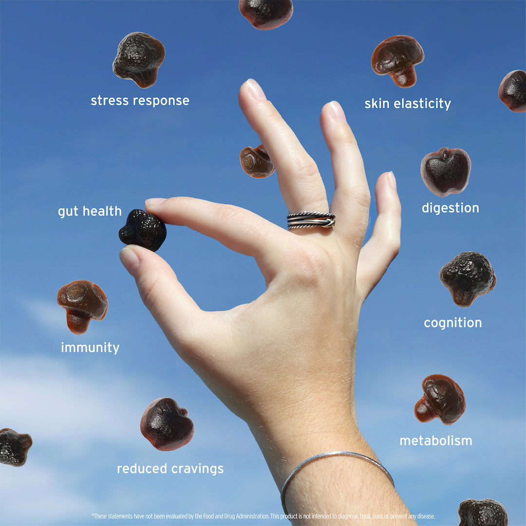 A hand holds a Sunmed CBD Supergreens Daily Gummy against a blue sky, surrounded by words: stress response, skin elasticity, gut health, digestion, immunity, cognition, metabolism, reduced cravings. Enriched with adaptogenic mushrooms and essential vitamins.