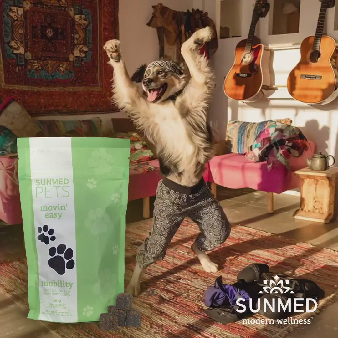 Broad Spectrum Movin’ Easy Relief CBD Pet Chews