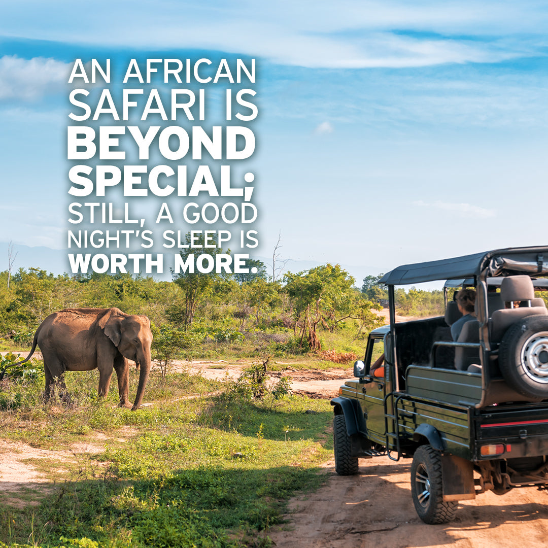 A safari jeep with tourists watches an elephant in the grasslands, where nature’s calm echoes the restful support of Sunmed CBD Full Spectrum Sleep CBN Gummies, a supplement designed to help improve sleep quality.