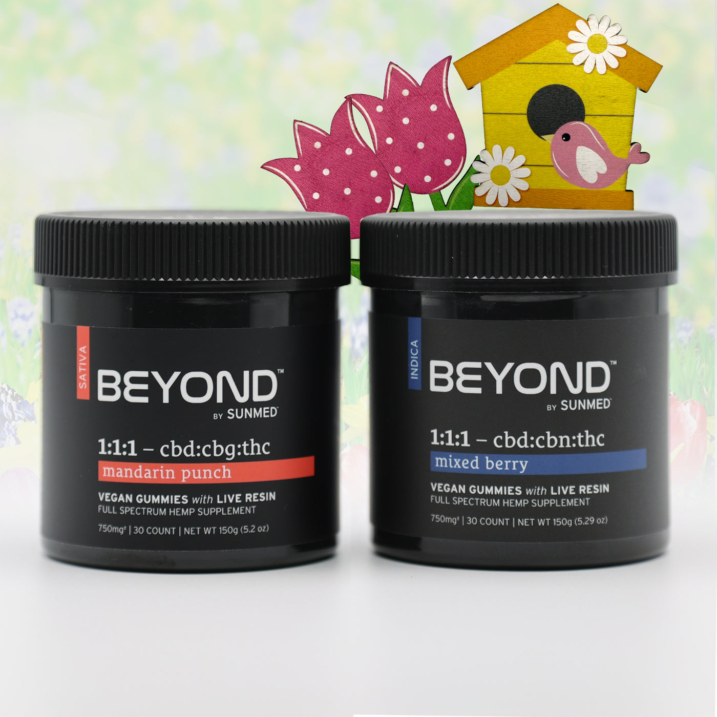 BEYOND Sativa + Indica Gummies Bundle | Sunmed – Sunmed CBD