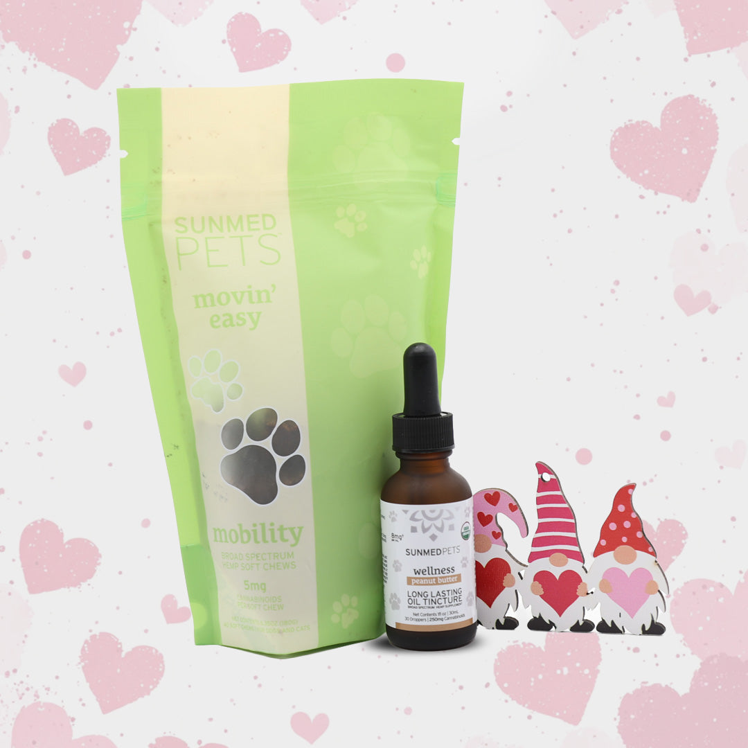 The Sunmed CBD Movin' Easy Pet Chews + Pet Tincture Bundle is displayed with three gnome figurines on a pink heart background, featuring CBD pet chews and a wellness dropper for joint health.