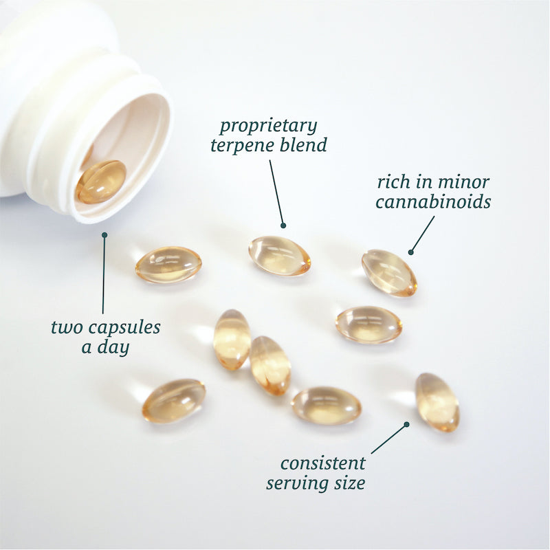 A bottle of Sunmed CBD Broad Spectrum Soft Gel Capsules containing clear soft gel capsules labeled with benefits such as a "proprietary terpene blend," being "rich in minor cannabinoids," and featuring "broad spectrum hemp extract.