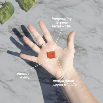 Hand holding a gummy with text overlay: "one gummy a day," "invigorating terpene blend + hemp-derived cannabinoids," "mango flavor + vegan friendly." Broad Spectrum Rise CBG Gummies Starter Pack by Sunmed CBD for focus and mental clarity.