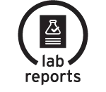 Lab Reports